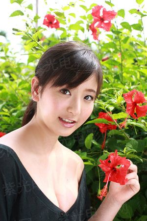 地球攻略战